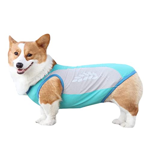 Paodduk Kühlweste für Hunde, Kühljacke für Hunde,Reflektierende Haustierweste für den Sommer - Atmungsaktives Hundeshirt, kühlere Hundeweste, Bequeme Jacke für Outdoor-Wandern, Spaziergänge, Sommer von Paodduk