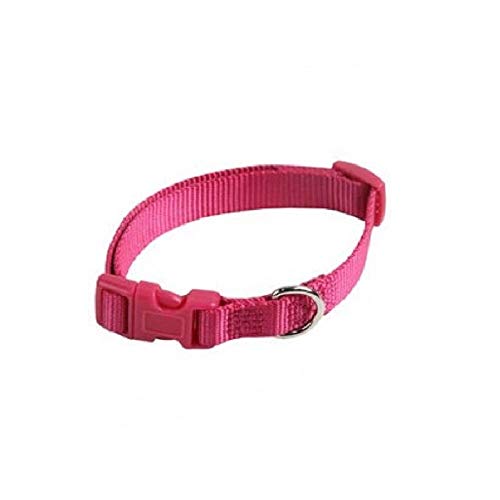 Verstellbares Halsband aus Nylon, 20 mm - 55 cm, Farbe: Rosa von Papillon