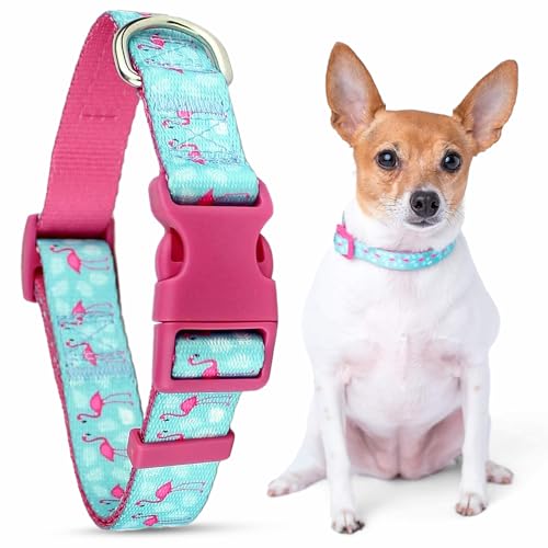 Parisian Pet Adjustable Nylon Dog Collar | Flamingos - Girly Dog Collar | Size - XS von Parisian Pet