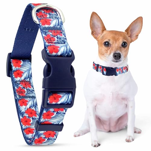 Parisian Pet Adjustable Nylon Dog Collar | Hibiscus Blue - Girly Dog Collar | Size - M von Parisian Pet