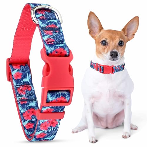 Parisian Pet Adjustable Nylon Dog Collar | Hibiscus Pink - Girly Dog Collar | Size - M von Parisian Pet