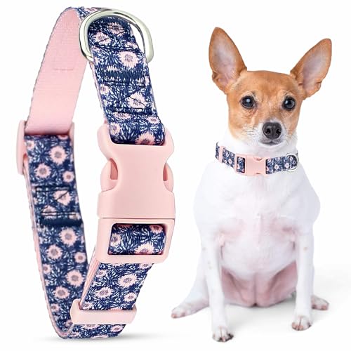 Parisian Pet Adjustable Nylon Dog Collar | Midnight Blossoms - Girly Dog Collar | Size - L von Parisian Pet