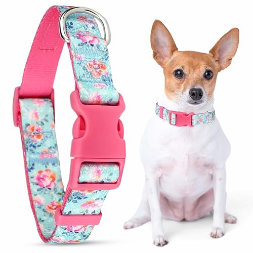 Parisian Pet Adjustable Nylon Dog Collar | Spring Blossoms - Girly Dog Collar | Size - M von Parisian Pet