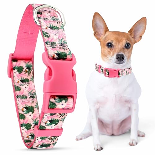 Parisian Pet Adjustable Nylon Dog Collar | Tropical Toucans - Girly Dog Collar | Size - L von Parisian Pet