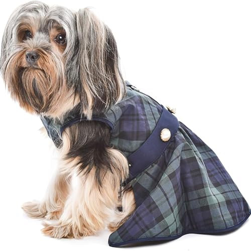 Parisian Pet Designer Scottish Green/Blue Plaid Dog Dress Holiday Party Special Occasion Photography von Parisian Pet