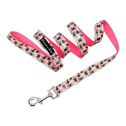 Parisian Pet Girly Dog Leash - 4ft Long, Tropical Toucans Durable Nylon Dog Training Leash - Traction Rope for Small/Medium Dogs von Parisian Pet