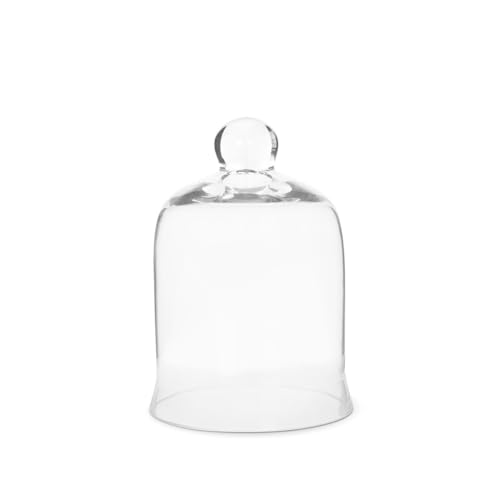 Park Hill Collection ECL82067 Glasglocke mit Glocke, Pflanzenterrarium, Mittelstück, 19 cm von Park Hill Collection