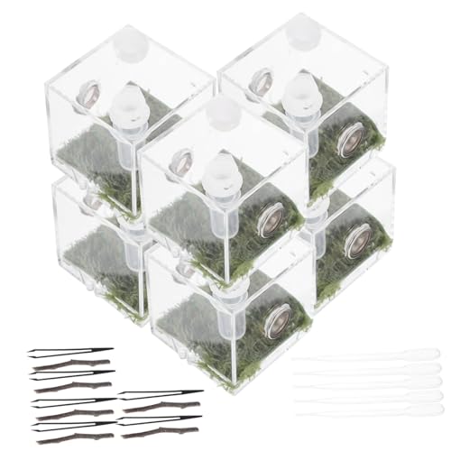 Parliky 2sätze Acryl-futterbox Für Sprungspinnen Transparente Habitat-Box Kleine Fütterungsstation Für Beobachtungen Und Pflege Von Insekten Und Reptilien Parliky 2sätze Acryl-futterbox Für Sprungspinnen Transparente Habitat-Box Kleine Fütterungsstation Für Beobachtungen Und Pflege Von Insekten Und Reptilien von Parliky