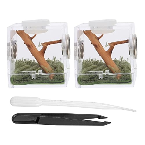 Parliky 2Satz Spinnenhabitat Box Hochtransparente Spinnenlandschaftshülle Spinnenbox Leichtes Design für Kleine Haustiere für Zucht und Dekoration Parliky 2Satz Spinnenhabitat Box Hochtransparente Spinnenlandschaftshülle Spinnenbox Leichtes Design für Kleine Haustiere für Zucht und Dekoration von Parliky