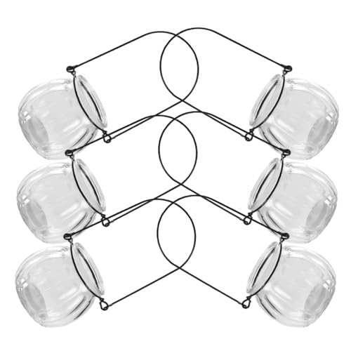 Parliky 6 Hängende Glas-pflanzgefäße Für Zimmerpflanzen, Wandmontierte Hydrokultur-vasen, Klare Glas-anzuchttöpfe Für Heim- Und Bürodekoration von Parliky