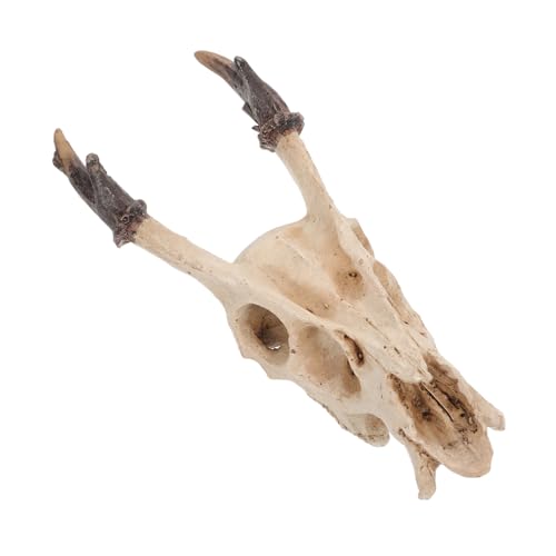 Parliky Eidechsen Versteckhöhlen Zubehör Und Drachen Geckos Schädel Realistisches Ornament Muntiacus Aquarium Schildkröte Reptil Frosch Schildkröte Drachenversteck Parliky Eidechsen Versteckhöhlen Zubehör Und Drachen Geckos Schädel Realistisches Ornament Muntiacus Aquarium Schildkröte Reptil Frosch Schildkröte Drachenversteck von Parliky