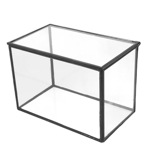 Parliky Mikrolandschaftsgewächshaus Mikro-landschaftsbehälter Pflanzenetui Terrarienmoos Leeres Terrarium Mikro-landschafts-DIY-Halter Ökosystem Terrarium Tischschmuck Glas Transparent von Parliky