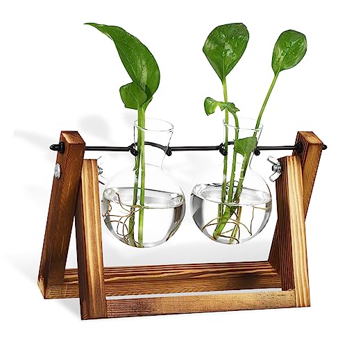 Parliky Ornamente Tischterrarium saftiges Terrarium Zwiebelvase Pflanzer Heimdekorationen Glasvasen Schreibtisch Dekoration Pflanzen blumenbank Vermehrungsvase Glas Vase mit Ständer Holz von Parliky