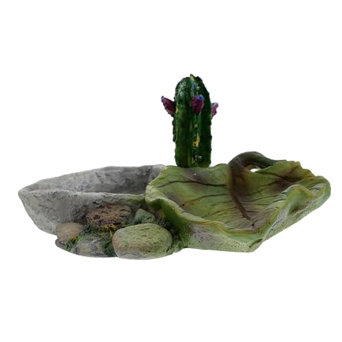 Parliky Reptilien Wassernapf Einstellbare Fütterungsschale für Schildkröten Eidechsen und Andere Haustiere für Terrarien Langlebig Reinigen Perfektes Parliky Reptilien Wassernapf Einstellbare Fütterungsschale für Schildkröten Eidechsen und Andere Haustiere für Terrarien Langlebig Reinigen Perfektes von Parliky