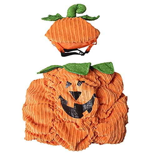 1 Satz Haustier-kürbis-set Welpenkleidung Hundemäntel Hund Halloween-outfit Hundekostüme Für Kleine Hunde Hündchen-ohr-stirnbänder Hut Zubehör Kind Polarfleece Der Hund Kosmetika von PartyKindom