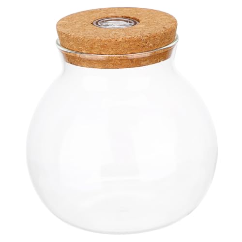 PartyKindom Hydroponisches Glas-Terrarium mit Led-Beleuchtung Runde Desktop-pflanzenvase aus Klarglas mit Korkdeckel Luftdichter Pflanzenbehälter für Zimmerpflanzen Propagationsstation für PartyKindom Hydroponisches Glas-Terrarium mit Led-Beleuchtung Runde Desktop-pflanzenvase aus Klarglas mit Korkdeckel Luftdichter Pflanzenbehälter für Zimmerpflanzen Propagationsstation für von PartyKindom
