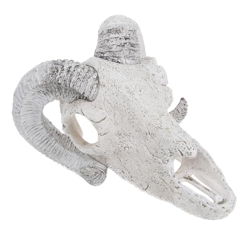 PartyKindom Künstlicher Schädel für Aquarien Knochen Versteck für Reptilien und Fische für Terrarien und Halloween Dekorationen Langlebig aus Robustem Resin PartyKindom Künstlicher Schädel für Aquarien Knochen Versteck für Reptilien und Fische für Terrarien und Halloween Dekorationen Langlebig aus Robustem Resin von PartyKindom