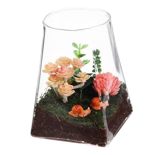 PartyKindom Ökologische Mikrolandschaftsflasche Vase Terrarium terraristik dekoäste fensterblatt Glastöpfe für Pflanzen Mikro-Landschaftsflasche Pflanzgefäße aus Glas Pflanzgefäß aus Glas von PartyKindom