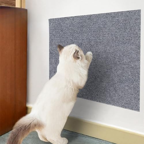 Pasdrucn 40x200cm Kratzmatte Katze Selbstklebend Wand, kratzschutz Sofa Katze, Kratzbrett Katzen kratzschutz, Katzen Kratzbretter Katze Wand, betten & möbel für Katzen (Hellgrau) von Pasdrucn