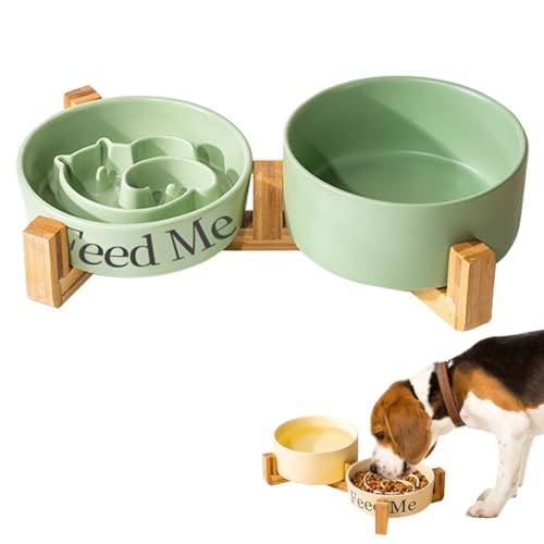 Pasdrucn Hundenapf Keramik Napf Hund, Katzennapf Keramik, 2-in-1 Wassernapf Hund & Anti Schling Napf Hund/Katze, Hundenapf Erhöhter Futternapf Für Hunde, Näpfe, Tränken & Zubehör Für Hunde (Grün) von Pasdrucn