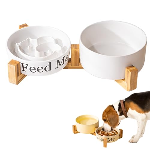 Pasdrucn Hundenapf Keramik Napf Hund, Katzennapf Keramik, 2-in-1 Wassernapf Hund & Anti Schling Napf Hund/Katze, Hundenapf Erhöhter Futternapf Für Hunde, Näpfe, Tränken & Zubehör Für Hunde (Weiß) von Pasdrucn