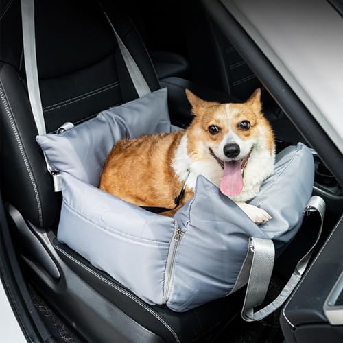 Pasdrucn Waschbarer Hundesitz Auto Kleine Hunde, Hunde Autositz Für Kleine/Mittlere Hunde, 55x50x30cm Hundeautositz Hundesitz Mit Stabil Sicherheitsgurt Und Aufbewahrungstasche (Grau) von Pasdrucn