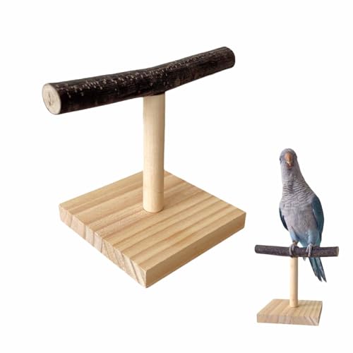 Vogelbarsch Stand,Papageienstand,Barsch für Sittiche,Vogelspielständer,Cockatiebarsch,für kleine bis mittelgroße Vögel, Papageien, Cockatiels, Kegel, Lovebirds oder Sittiche (A) von Pasdrucn