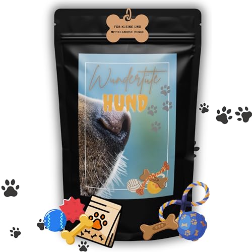 Passionate Presents Wundertüte für Hunde Hundefreund Überraschungsbox mit Hundespielzeug, Snacks & Accessoires – Perfekt für Hundeliebhaber – Ideal für kleine & mittelgroße Hunde von Passionate Presents