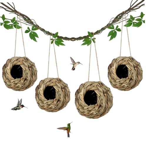 Bird Nest Hanging Hummingbird Nest House Gras gewebtes Kolibri Nest Vogelhütte für Fenstergarten Dekor 4pcs 14 * 14 * 6 cm, natürliches Gras Hanging Vogelhütte von Pastoralist