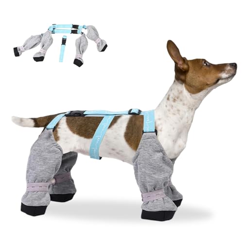 Pastoralist Hundespannstiefel, verstellbare staubdichtere Hundefutter, weiche warme Wanderschuhe im Freien, Hundepfotenschutz für kleine mittelgroße Hunde (1,2-12 kg) von Pastoralist