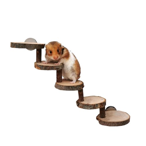 PatPatPet Hamster-Kletterspielzeug, Natürliches Holztreppen- Und Kauspielzeug Für Hamster, Sicheres Kletterhamster-Zubehör Für Käfige Mit Festen Schrauben von PatPatPet