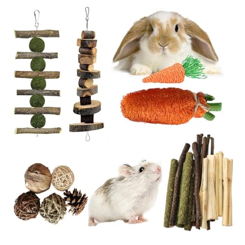 PatPatPet 12PCS Nagetier Kauspielzeug Set, Bunny Leckerbissen Und Ball Timothy Heu Stick Spielzeug Für Kaninchen Bunny Meerschweinchen Chinchilla Hamster Zahnpflege von PatPatPet