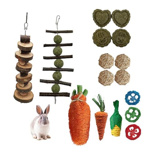 PatPatPet 16PCS Nagetier Kauspielzeug Set, Bunny Leckerbissen Und Ball Timothy Heu Stick Spielzeug Für Kaninchen Bunny Meerschweinchen Chinchilla Hamster Zahnpflege von PatPatPet