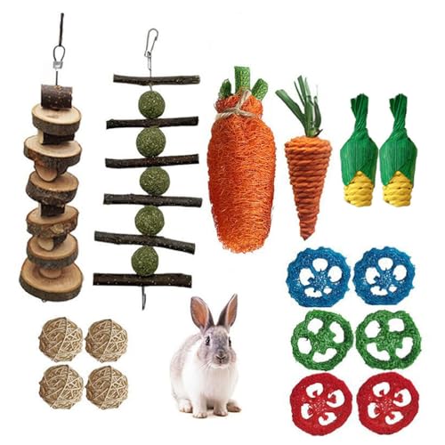 PatPatPet 20-teiliges Nagetier-Kauspielzeug-Set, Hasen-Leckereien Und Ball Timothy Hay Stick Toys Für Die Zahnpflege Von Kaninchen, Meerschweinchen, Chinchilla Und Hamster von PatPatPet