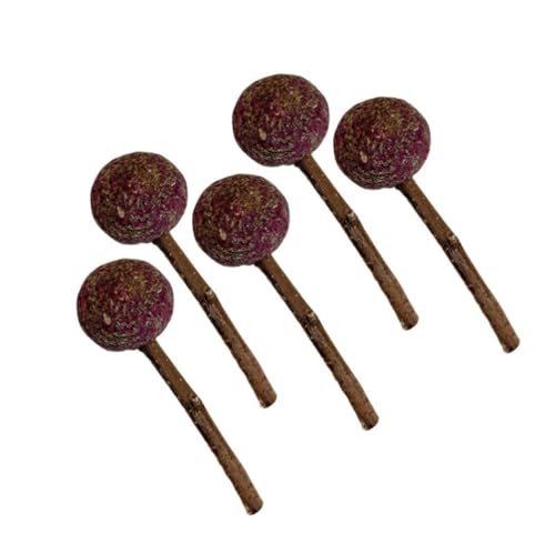 PatPatPet 5PCS Lollipop Form Kauen Sticks Für Hamster Kaninchen Gerbils Ratten Meerschweinchen Chinchillas, Natürliche Heu Sticks Für Kleintiere Zähne (Rose) von PatPatPet