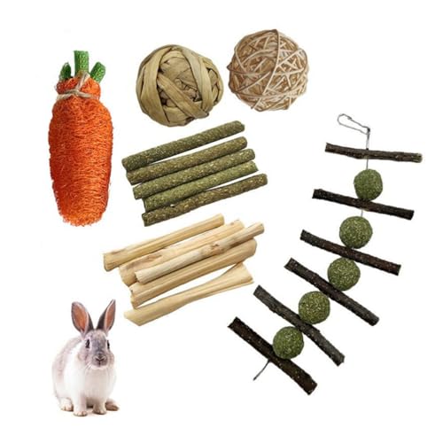 PatPatPet 6PCS Nagetier Kauspielzeug Set, Bunny Leckerbissen Und Ball Timothy Heu Stick Spielzeug Für Kaninchen Bunny Meerschweinchen Chinchilla Hamster Zahnpflege von PatPatPet