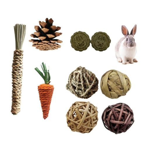 PatPatPet 9PCS Nagetier Kauspielzeug Set, Bunny Leckerbissen und Ball Timothy Heu Stick Spielzeug für Kaninchen Bunny Meerschweinchen Chinchilla Hamster Zahnpflege von PatPatPet