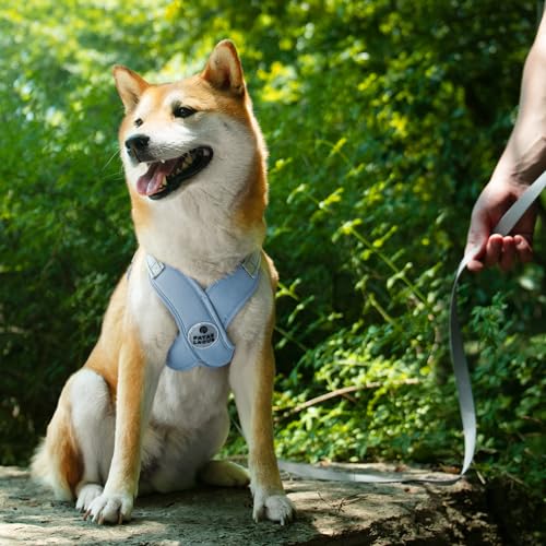 Patas Lague Hundegeschirr für kleine und mittelgroße Hunde, mit Leine, Kotbeutel und Spender, Halsumfang: 49,3 - 59,9 cm, Brustumfang: 57 - 65,6 cm, Blau von Patas Lague