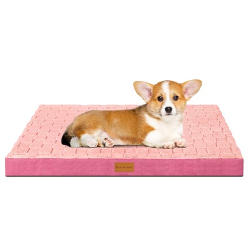 Patas Lague Kariertes orthopädisches Hundebett für kleine Hunde, 50,8 x 38,1 cm, wasserdicht, kleine Hundebetten mit abnehmbarem, waschbarem Bezug, Schaumstoff-Haustierbettmatte mit rutschfester von Patas Lague