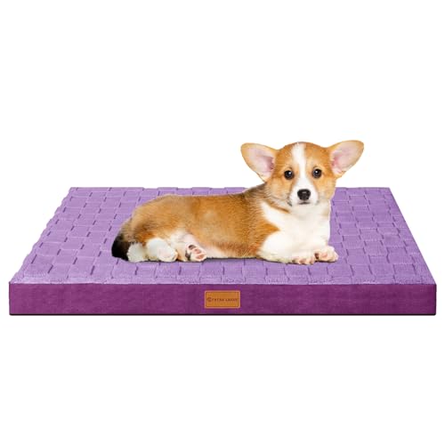 Patas Lague Kariertes orthopädisches Hundebett für kleine Hunde, 50,8 x 38,1 cm, wasserdicht, kleine Hundebetten mit abnehmbarem, waschbarem Bezug, Schaumstoff-Haustierbettmatte mit rutschfester von Patas Lague