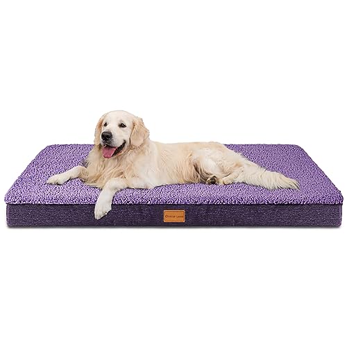 Patas Lague Orthopädisches Hundebett aus Schaumstoff für extra große Hunde, waschbarer Bezug, rutschfest, wasserdicht, 121,9 x 76,2 cm, Violett von Patas Lague