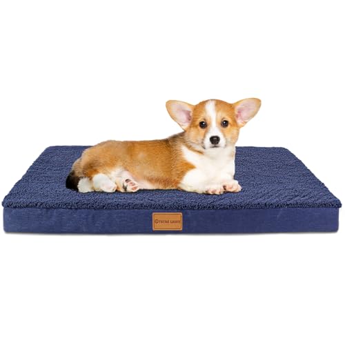 Patas Lague Orthopädisches Hundebett für kleine Hunde, 50,8 x 38,1 cm, wasserdicht, kleine Hundebetten mit abnehmbarem, waschbarem Bezug, Schaumstoff-Haustierbett mit rutschfester Unterseite, von Patas Lague