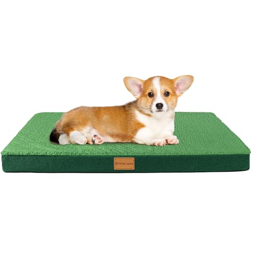 Patas Lague Orthopädisches Hundebett für kleine Hunde, 50,8 x 38,1 cm, Schaumstoff, kleine Hundebetten mit abnehmbarem, waschbarem Bezug, wasserdichte Haustierbettmatte, Grün von Patas Lague