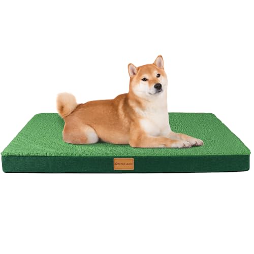 Patas Lague Orthopädisches Hundebett für mittelgroße Hunde, 76,2 x 50,8 cm, Eierkisten-Schaumstoff, mittelgroße Hundebetten mit abnehmbarem, waschbarem Bezug, wasserdichte Haustierbettmatte, Grün von Patas Lague