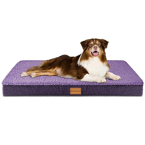 Patas Lague Orthopädisches Hundebett für mittelgroße Hunde, 91,4 x 61 cm, Schaumstoff, mittelgroße Hundebetten mit abnehmbarem, waschbarem Bezug, wasserdichte Haustierbettmatte, Violett von Patas Lague