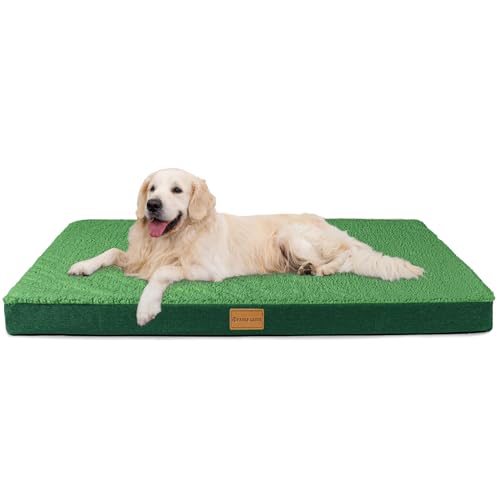 Patas Lague Orthopädisches XXL-Hundebett für extra große Hunde, 121,9 x 76,2 cm, weich, bequem, wasserdicht, Eierkisten-Schaumstoff-Matte mit abnehmbarem, waschbarem Bezug, Grün von Patas Lague