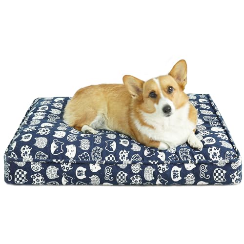 Patas Lague XL Hundebett für große Hunde, 91,4 x 61 cm, orthopädisch, geschreddertes Memory-Schaum, Hundebetten für Box mit abnehmbarem waschbarem Bezug, Haustierbett-Matte, blaue Katze von Patas Lague