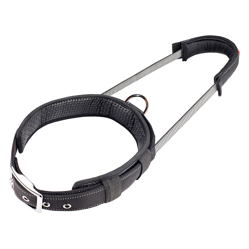PatentoPet® Sport Halsband, schwarz - Größe XL: 61 - 71 cm Halsumfang von PatentoPet