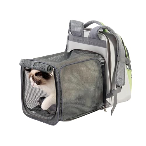 Katzengehege Outdoor Faltbar Mit Tunnel, Tragbares Haustierzelt, Katzenauslauf Outdoor, Klappbares Gehege Mit Spielzeugtunnel, Trainingszubehör Für Camping, Outdoor, Indoor & Reisen Katzengehege Outdoor Faltbar Mit Tunnel, Tragbares Haustierzelt, Katzenauslauf Outdoor, Klappbares Gehege Mit Spielzeugtunnel, Trainingszubehör Für Camping, Outdoor, Indoor & Reisen von Patifirst