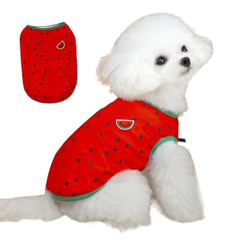 Patifirst Hunde Sommerkleidung, kleines Hundehirt,Haustier Sommerkleidung | Atmungsaktives Haustier -Outfit, einzigartige Wassermelon Ananas Hundekatze Hemd für kleine bis große Hunde Katzen von Patifirst